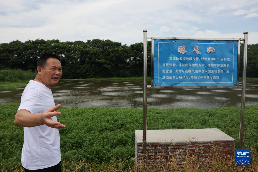 新时代中国调研行·长江篇｜守护“长江之肾”的“洞庭麻雀”