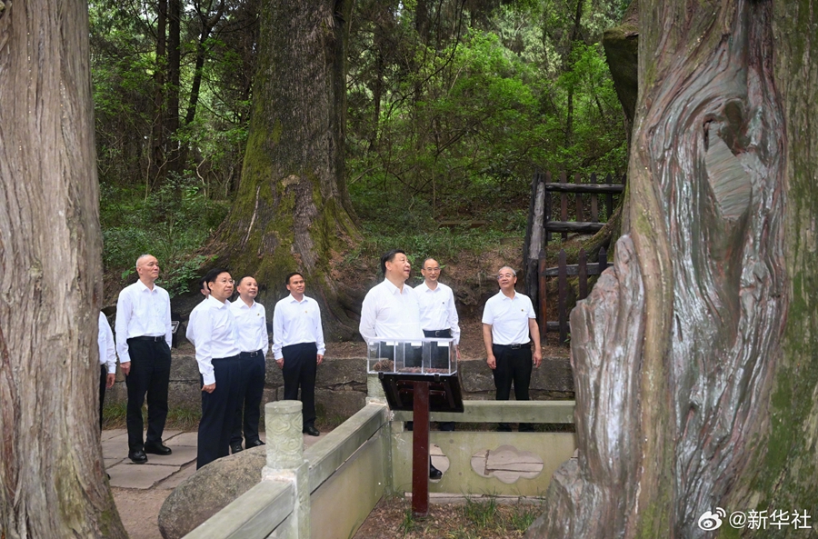 习近平在四川考察调研