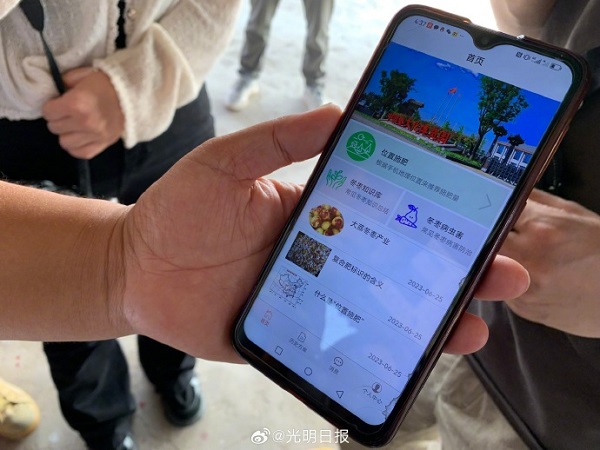 【高质量发展调研行·陕西】大荔冬枣有了土壤精准施肥App