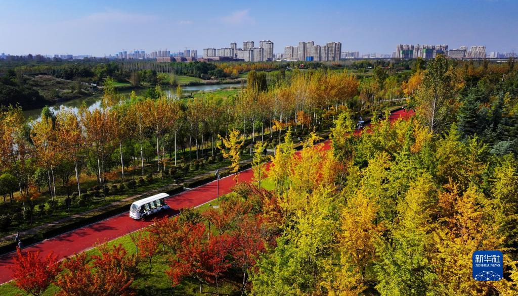 美丽中国丨陕西：沣河秋景胜春朝