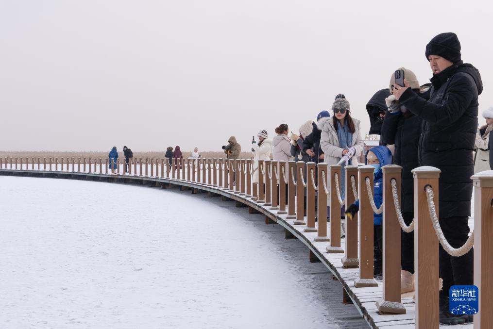 冬日漫雪 鹤舞扎龙