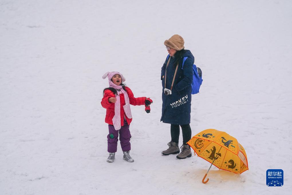 故宫赏雪