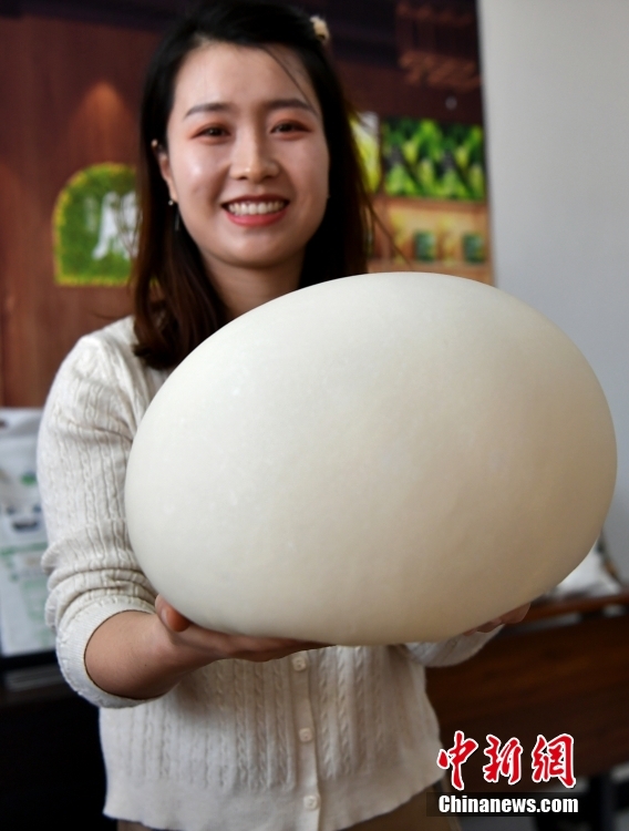 (追着雪花看新疆)新疆奇台:“麦村”绿色全产业链让农产品身价倍增 (追着雪花看新疆)新疆奇台:“麦村”绿色全产业链让农产品身价倍增