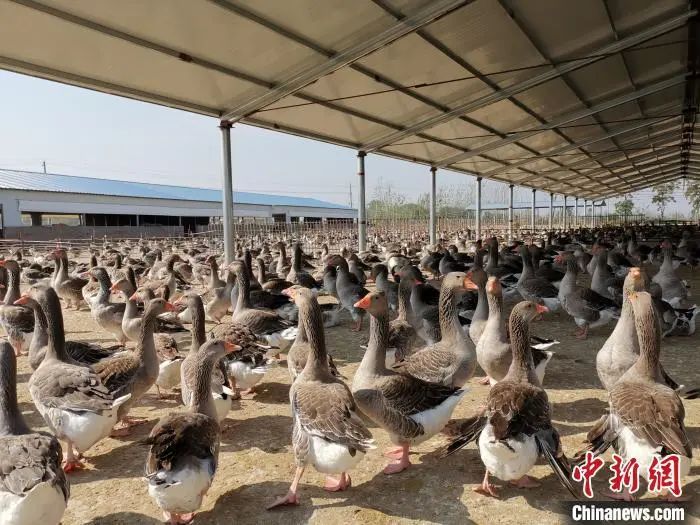 外人竟是咱自己！各地隐藏农特产给你惊喜