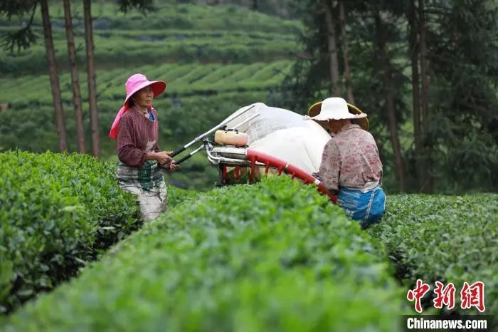 外人竟是咱自己！各地隐藏农特产给你惊喜