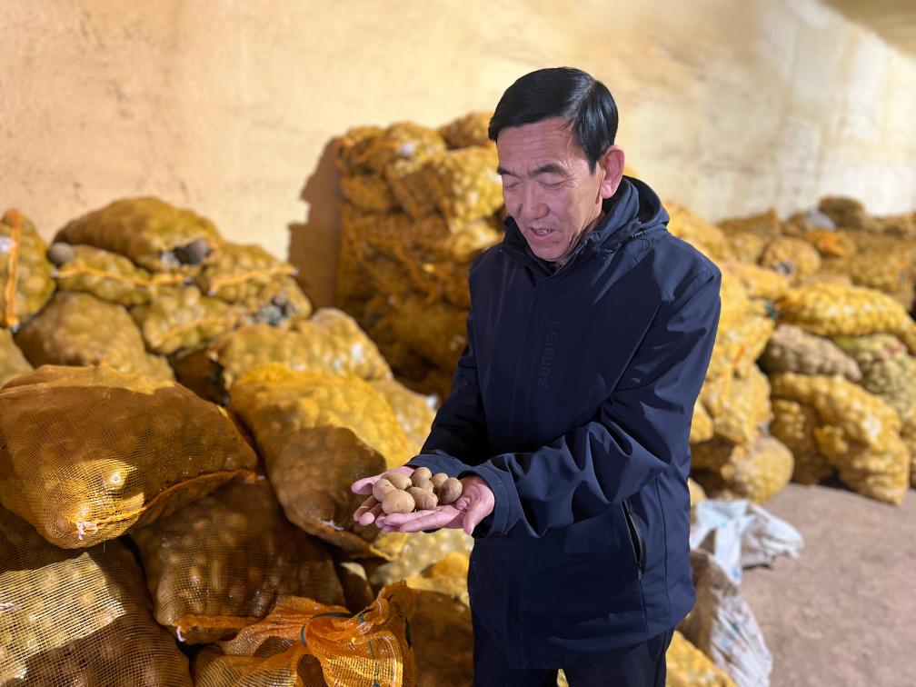 新春走基层·黄土地上的“大食物”丨一颗土豆的全产业链“革命”