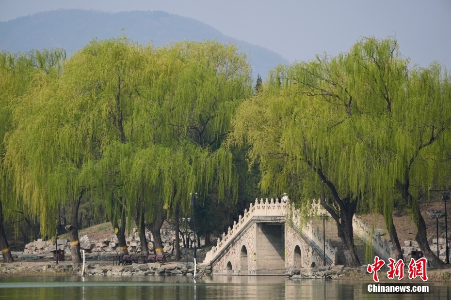 北京圆明园春色宜人