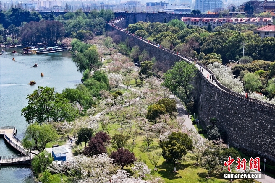 古城南京城墙内外春色美