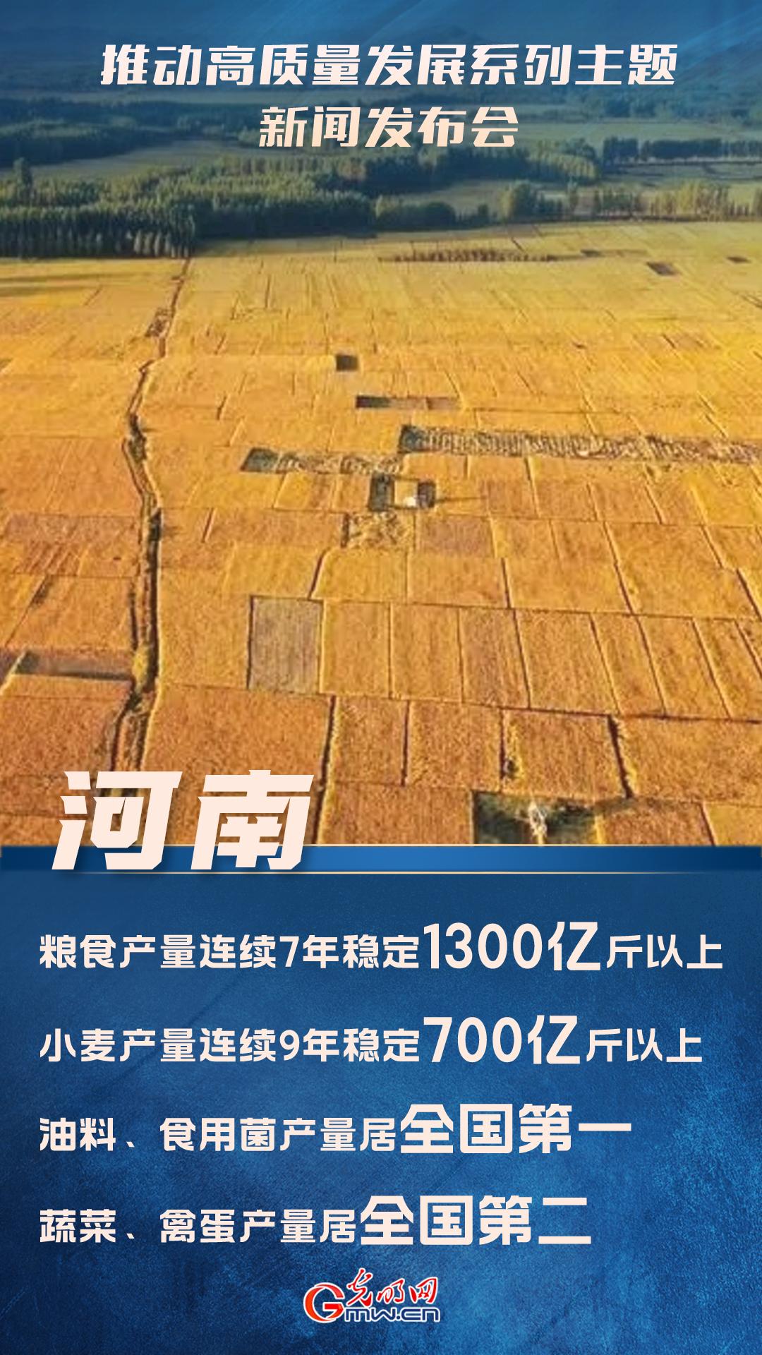 【推动高质量发展】河南：粮食产量连续7年稳定在1300亿斤以上