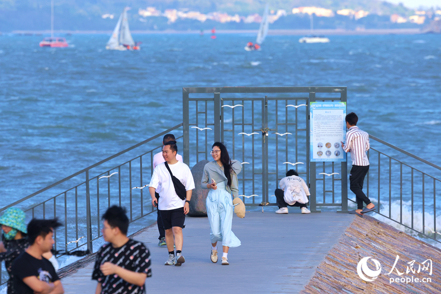 “设立临时保护区”“组建巡护队伍” 厦门思明为飞鸟“安家”