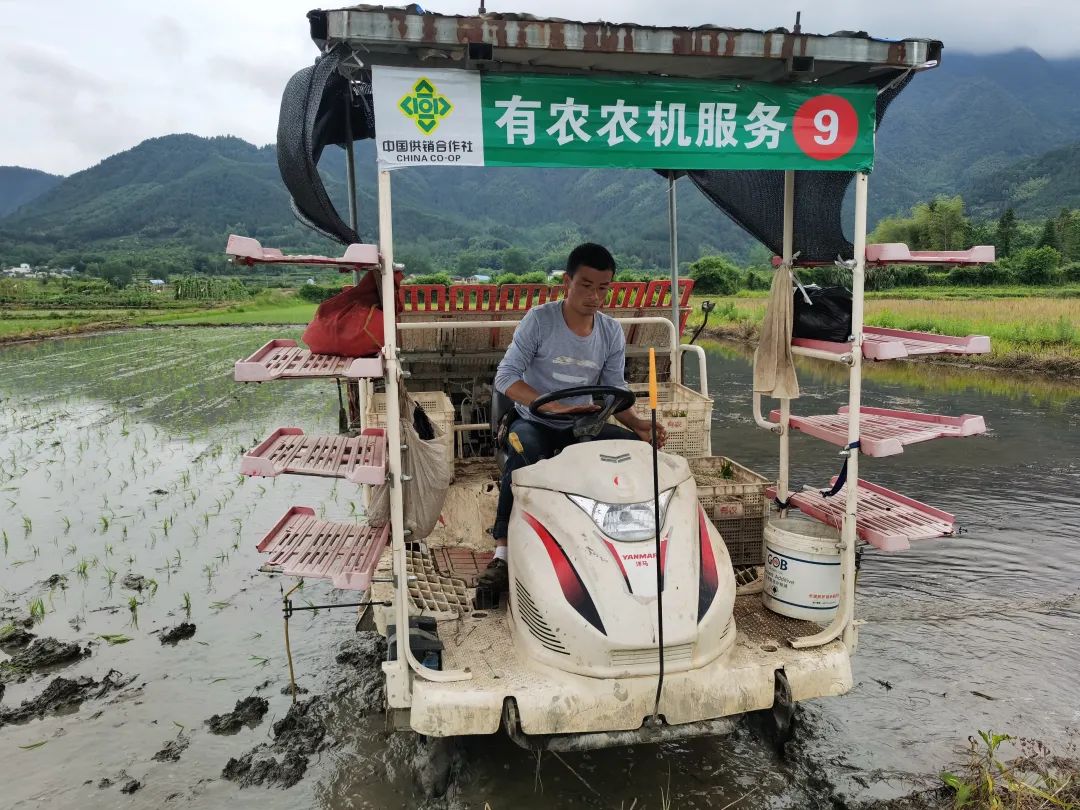 落实习近平总书记指示要求·调研记｜为中国饭碗增“皖”粮——安徽加快建设千亿斤江淮粮仓记