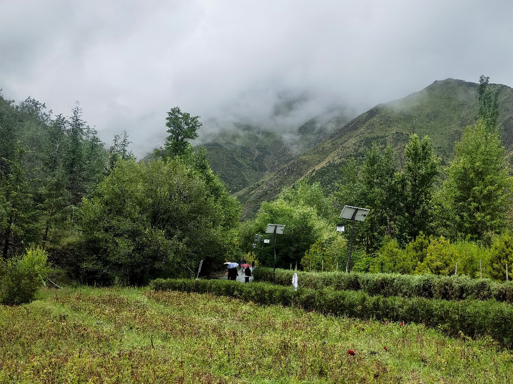 【我们的家园】拉萨南北山绿化工程：绿动高原，绘就生态新画卷