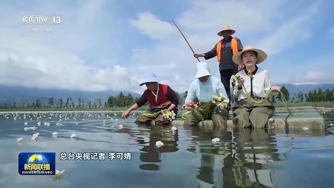 新思想引领新征程丨洱海治理从“一湖之治”到“生态之治”