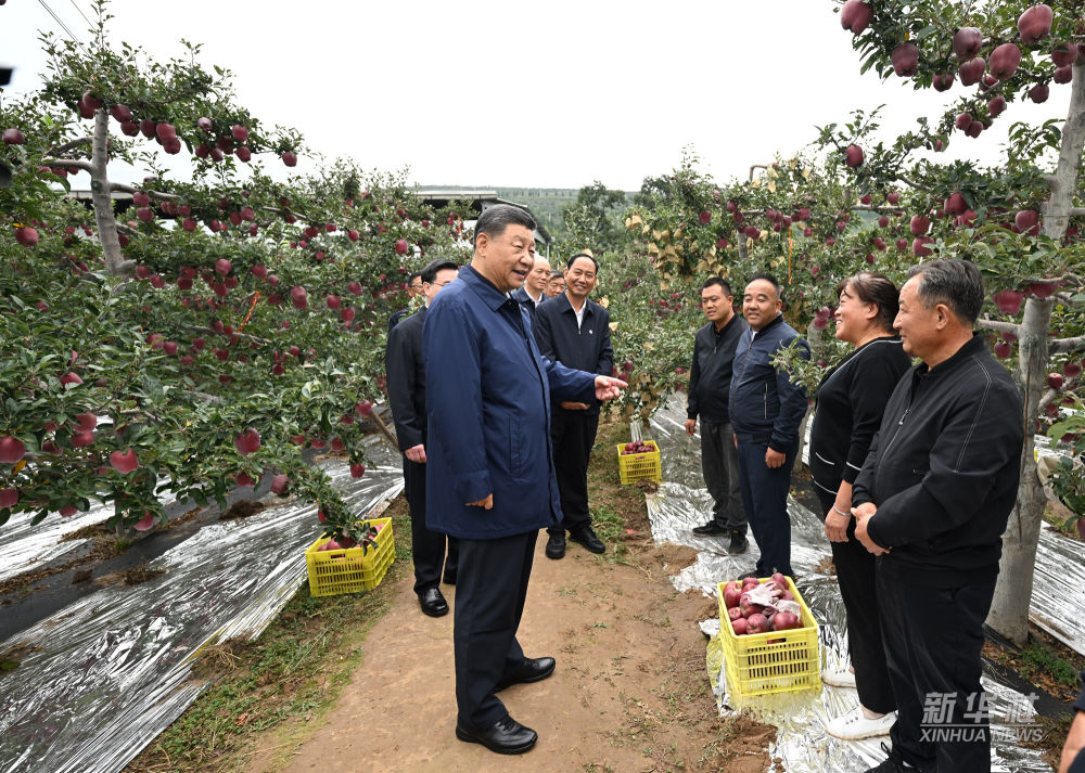 习近平在陕西宝鸡市和甘肃天水市考察调研