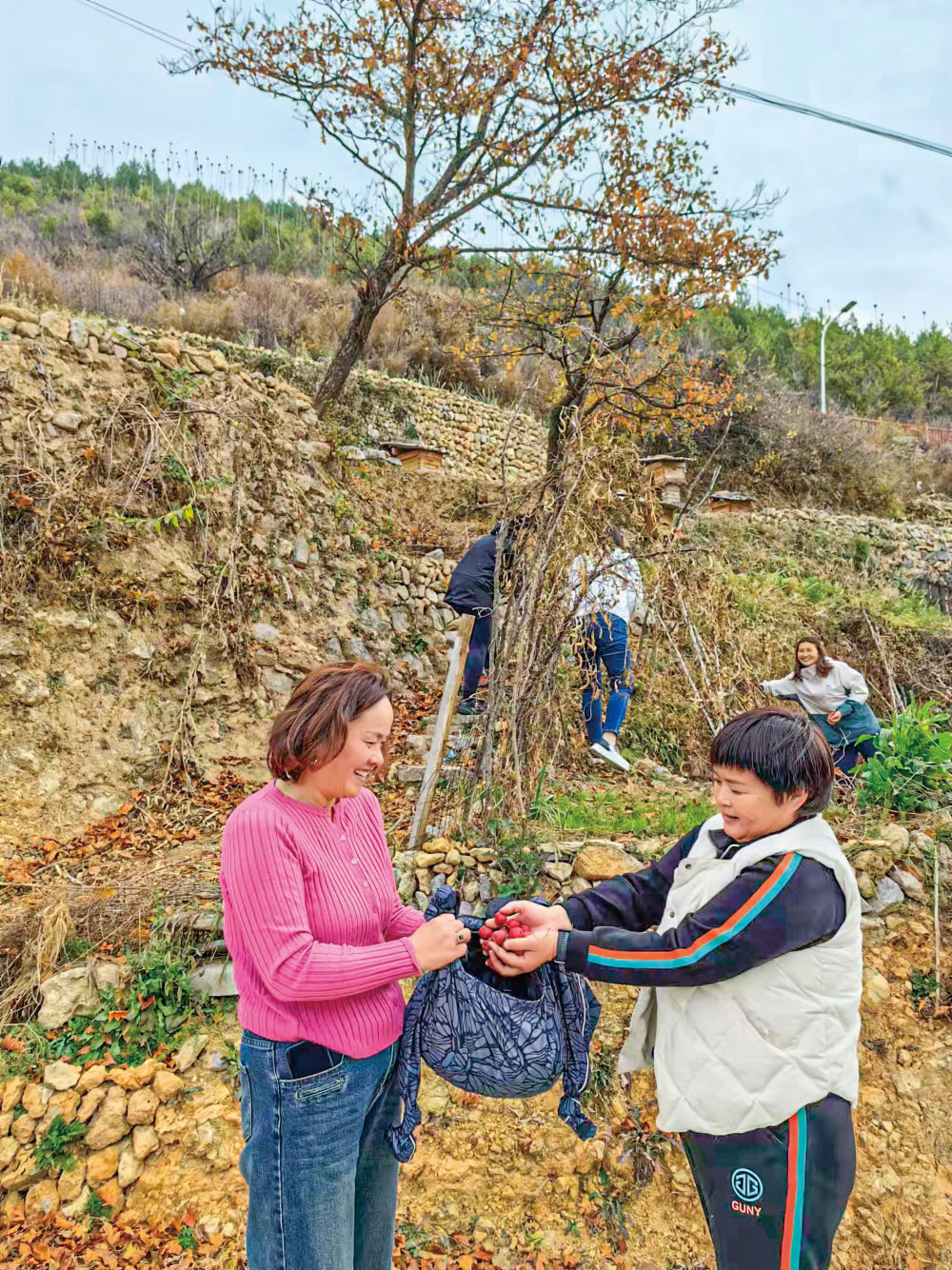 寻访三晋特色村