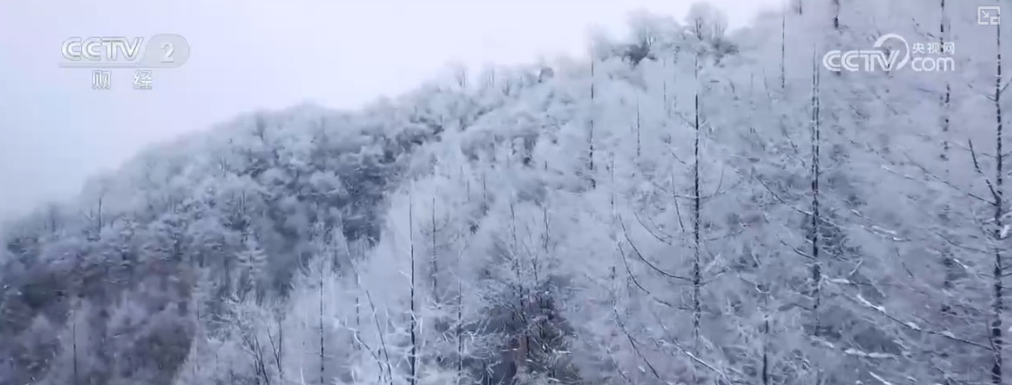 “冷”冰雪盘活“热”经济 冰雪游项目频繁“上新”引客来