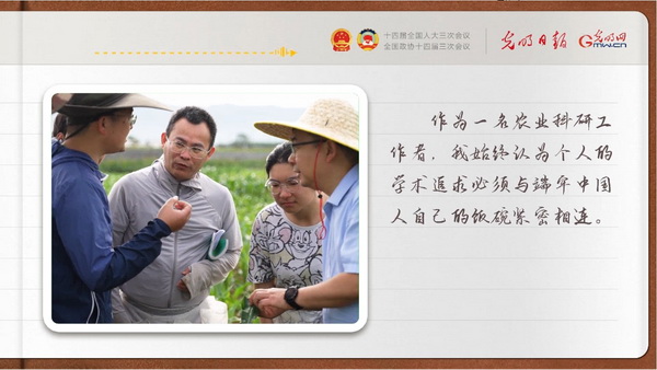 【奋进的春天】玉米粒里寻“粮策”