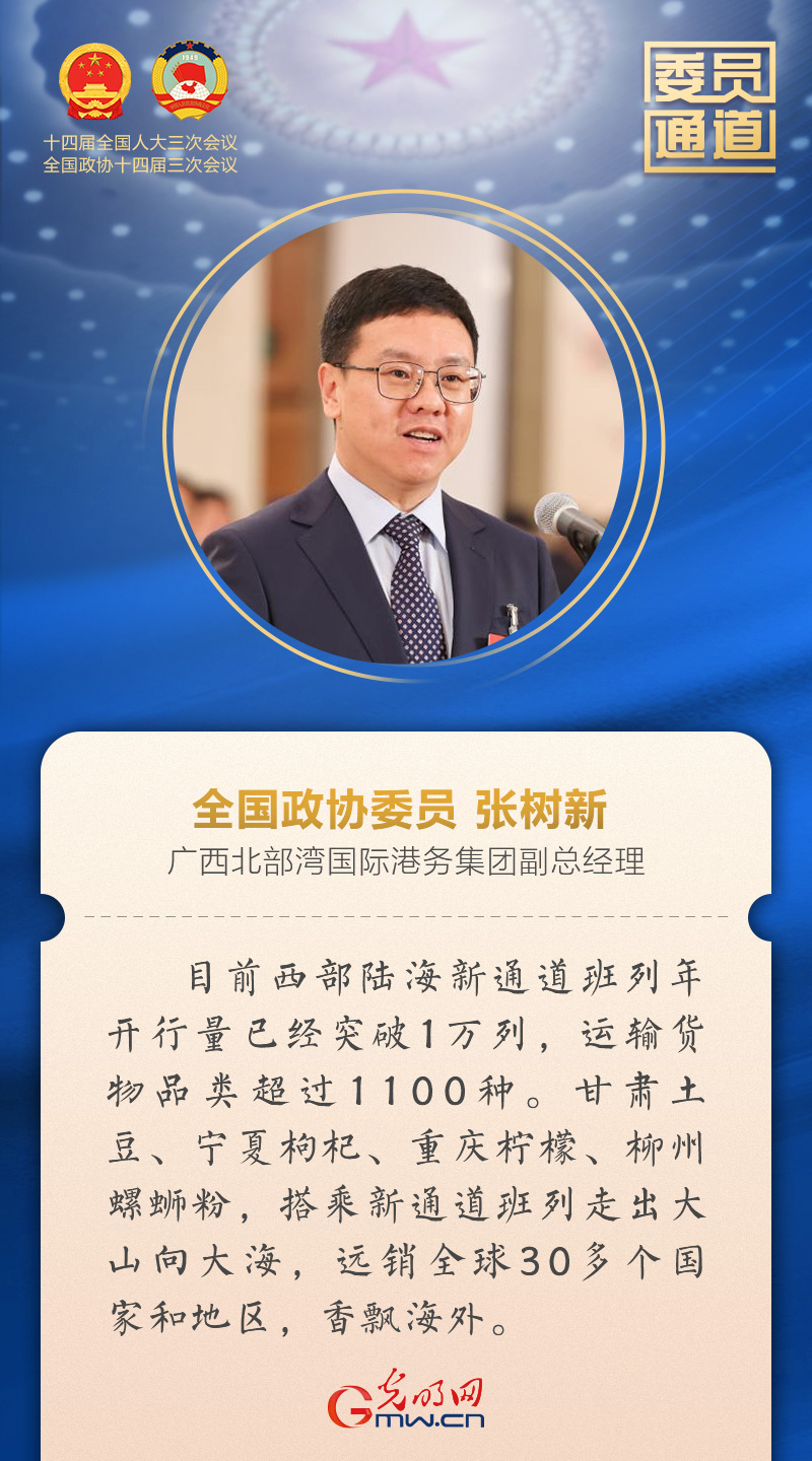 【图解海报】新的进展！第二场委员通道上看奋进的中国