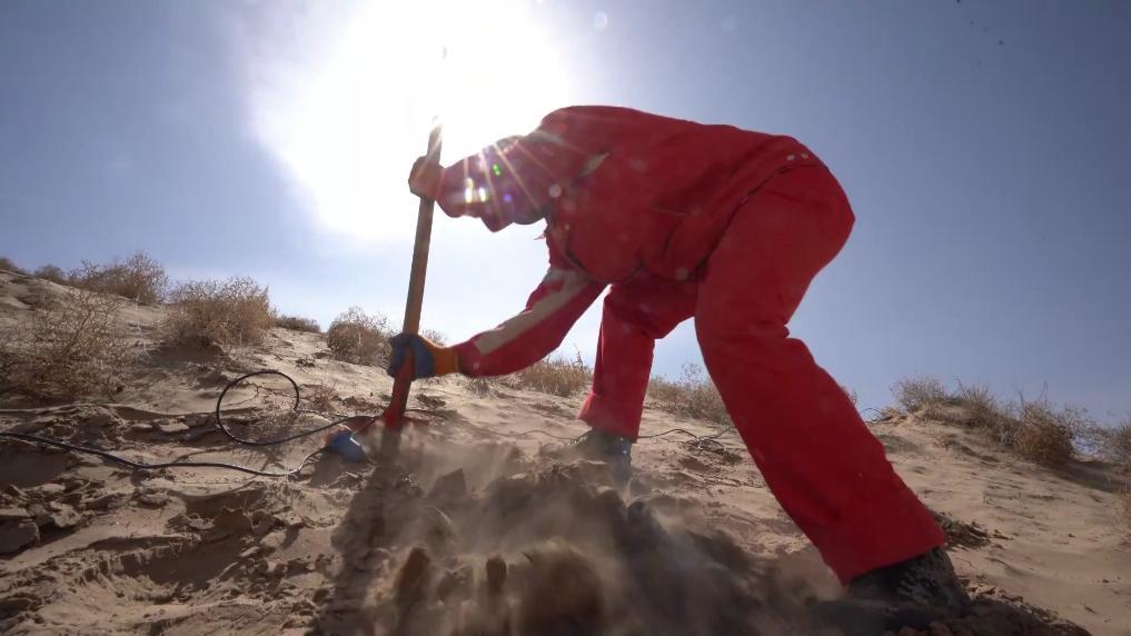 新华视点丨致敬劳动者 平凡岗位上的光芒万丈