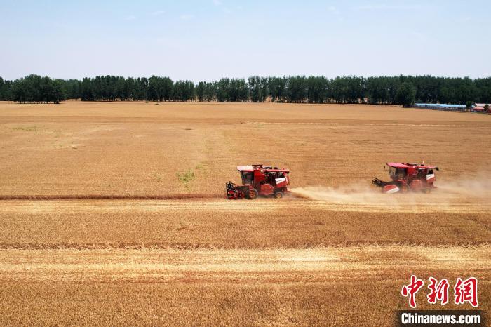 安徽埇桥小麦收割忙