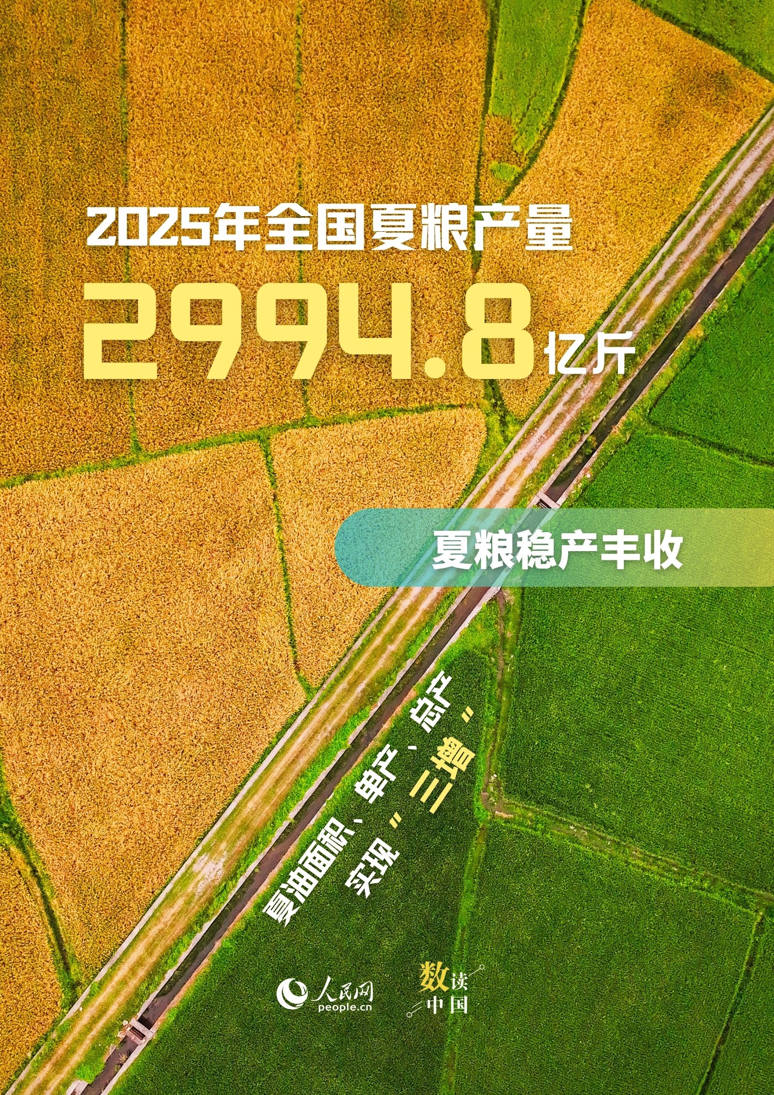 6维度看农业上半年丰收“新”景象