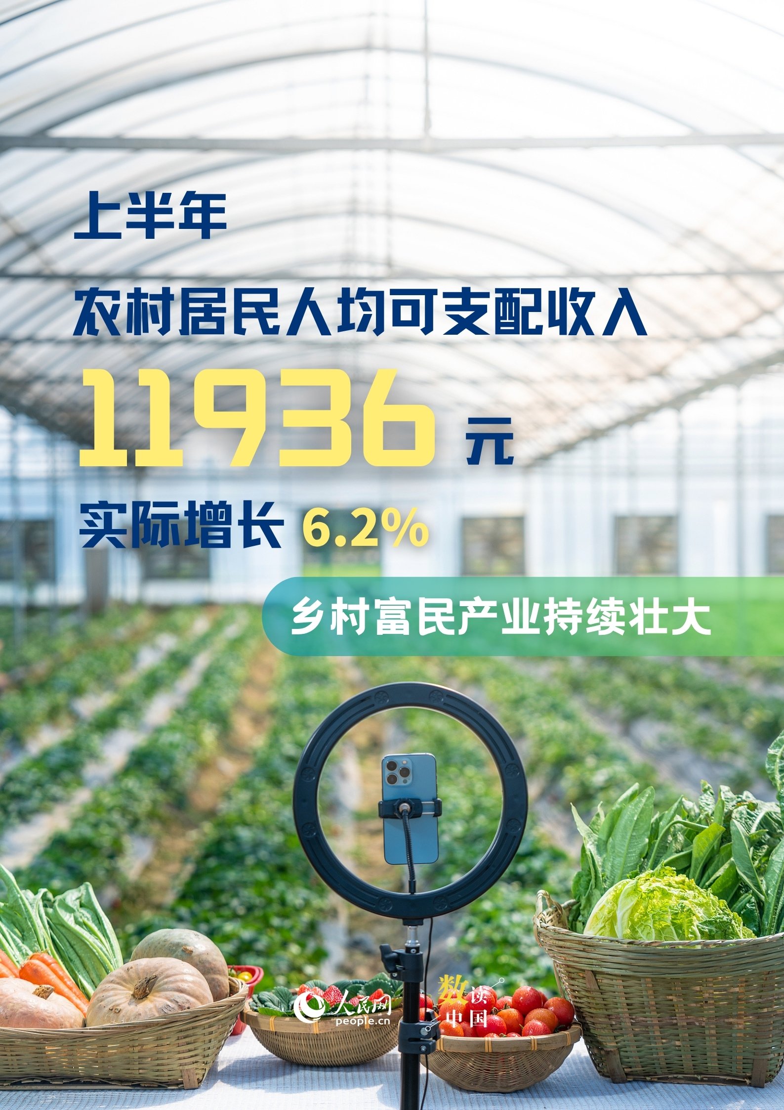 6维度看农业上半年丰收“新”景象