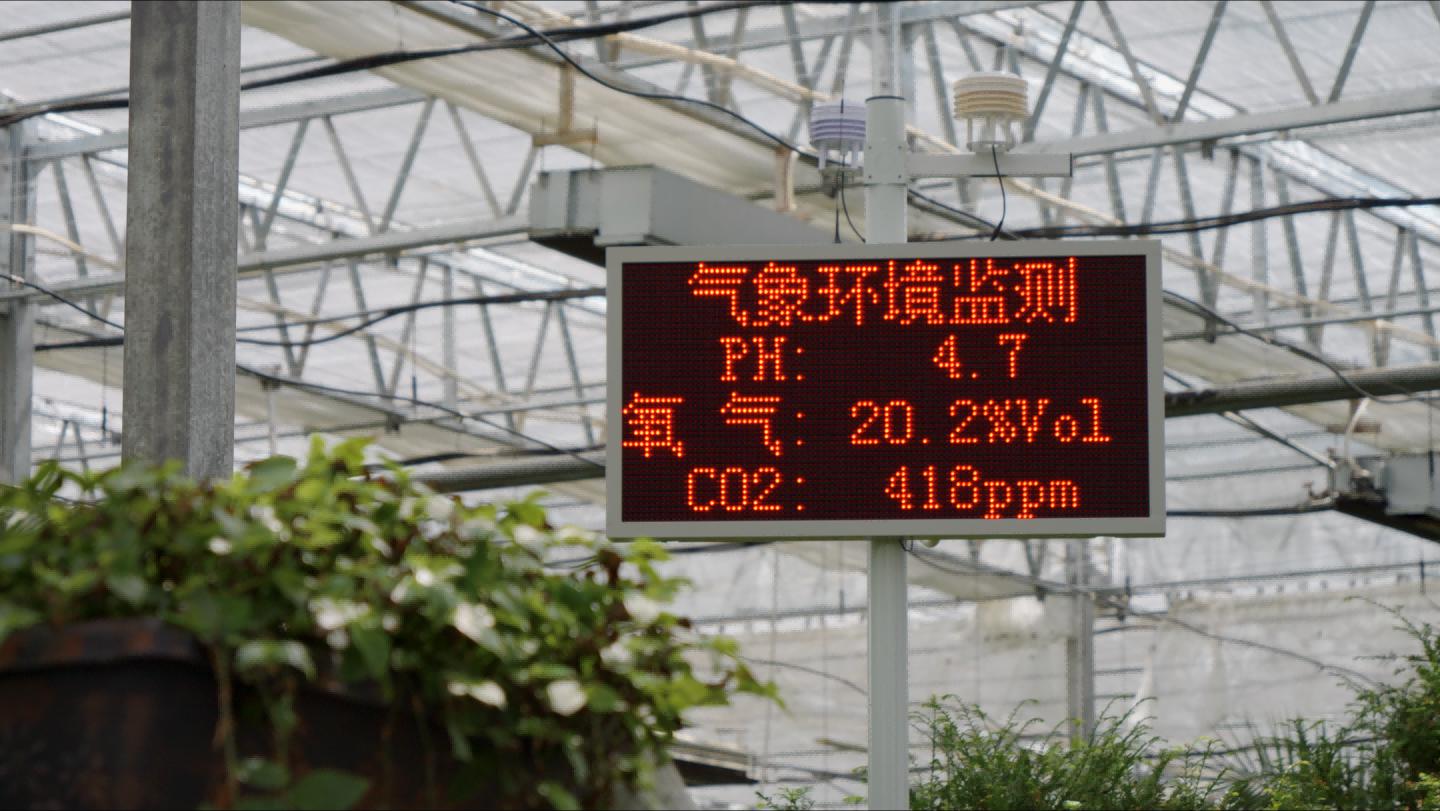 辉煌60年·我们的家园|高原上的 辉煌60年·我们的家园|高原上的