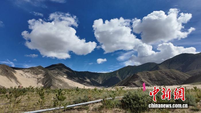 辉煌60年·我们的家园 | “像养孩子一般种树”:各民族团结奋斗,以心血浇灌生态奇迹