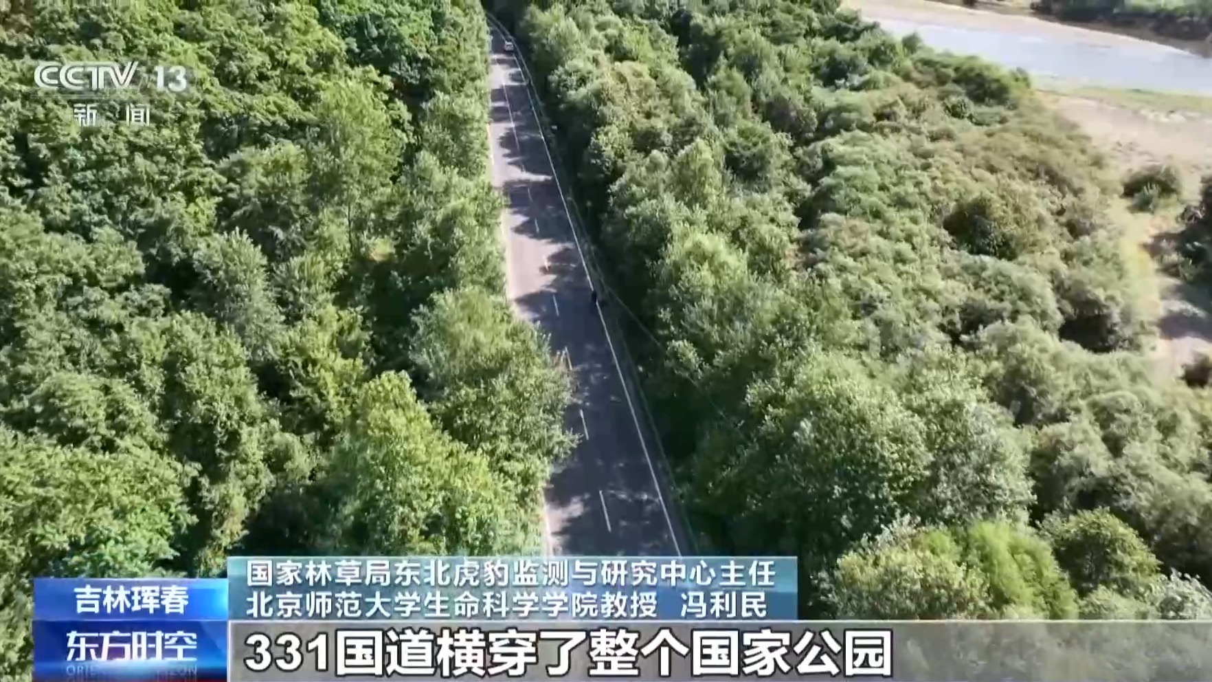 国道上多人“偶遇”同一东北虎 国家公园如何守住人虎安全边界?