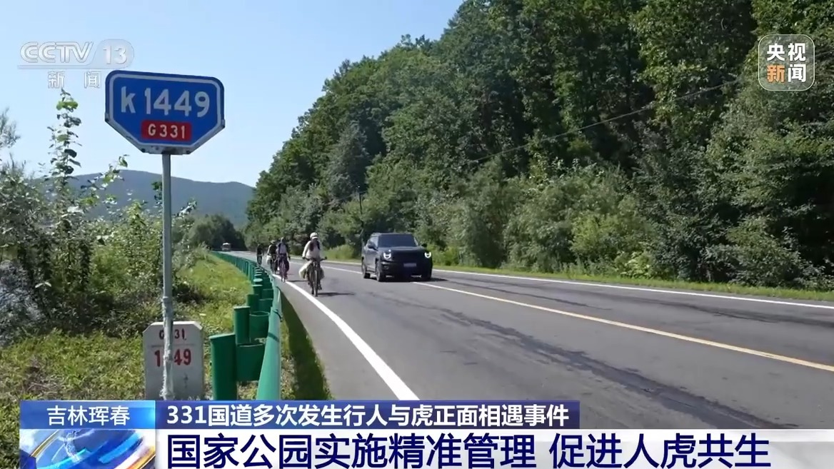 国道上多人“偶遇”同一东北虎 国家公园如何守住人虎安全边界?