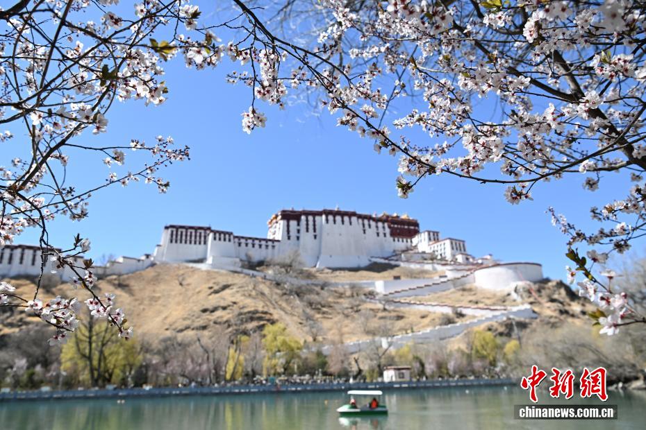 西藏布达拉宫的四季:时光中的文化瑰宝 西藏布达拉宫的四季:时光中的文化瑰宝