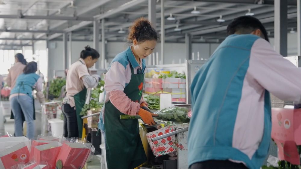 美丽遇甜蜜 消费“别样红”——云南鲜切花七夕节前市场一线观察