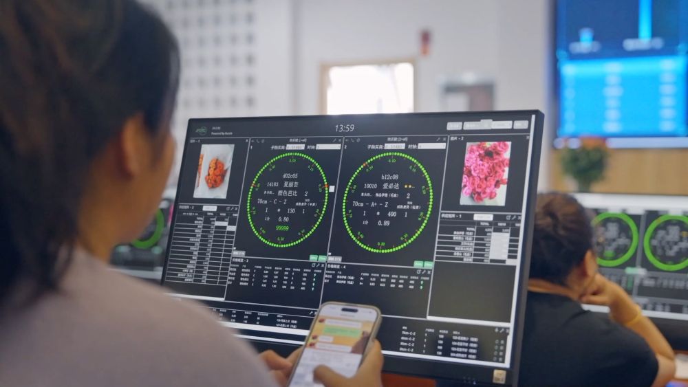 美丽遇甜蜜 消费“别样红”——云南鲜切花七夕节前市场一线观察