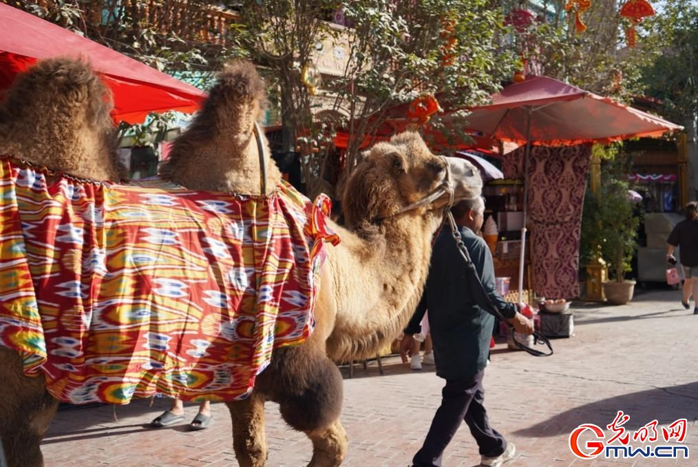 秋染喀什,古城客如织 秋染喀什,古城客如织