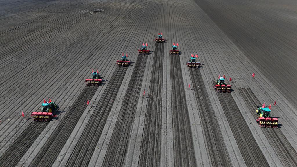 守好粮食生产的命根子!我国拟立法加强耕地保护和质量提升