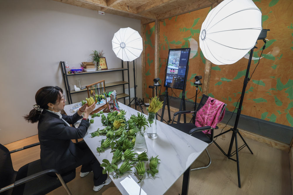 “十五五”规划建议诞生记 “十五五”规划建议诞生记