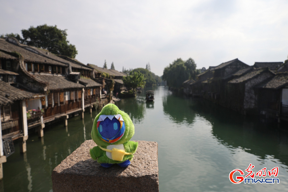 【乌镇视窗】小互的乌镇漫步:一场古镇与数字的对话 【乌镇视窗】小互的乌镇漫步:一场古镇与数字的对话