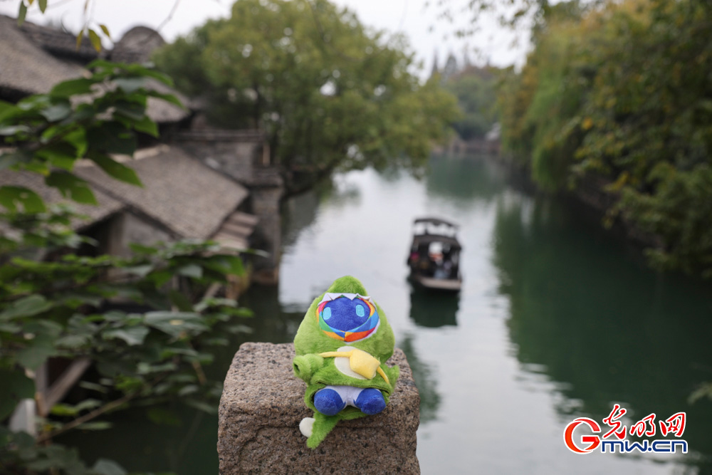 【乌镇视窗】小互的乌镇漫步:一场古镇与数字的对话 【乌镇视窗】小互的乌镇漫步:一场古镇与数字的对话