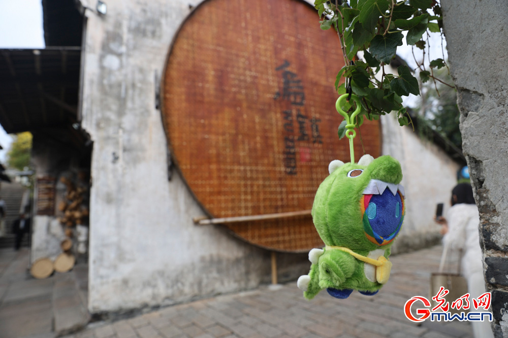 【乌镇视窗】小互的乌镇漫步:一场古镇与数字的对话 【乌镇视窗】小互的乌镇漫步:一场古镇与数字的对话