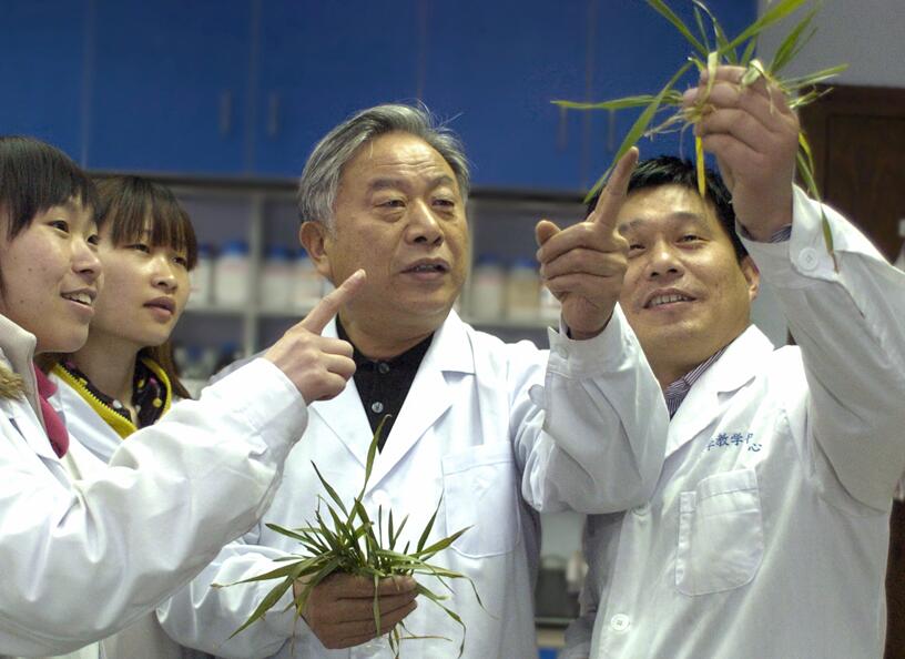 【“十五五”我所思·我所盼】有声手账丨盼庄稼更加茁壮