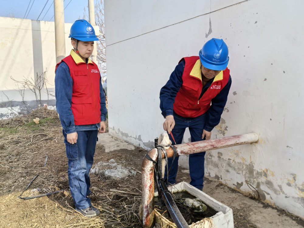 今冬不放松，来年“丰”可期——多地冬种及田间管护见闻
