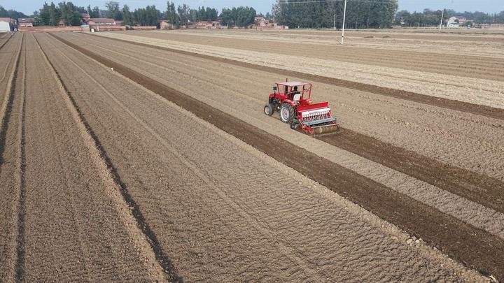今冬不放松，来年“丰”可期——多地冬种及田间管护见闻