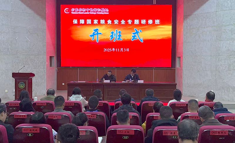 【“十五五”我所思·我所盼】有声手账丨为乡村振兴培养“头雁”