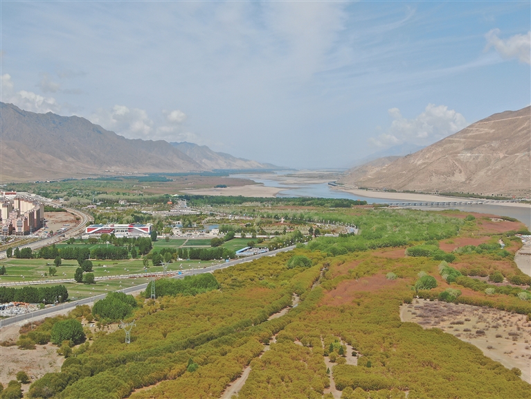 青藏联动报道｜ “绿进沙退”雅江展新颜
