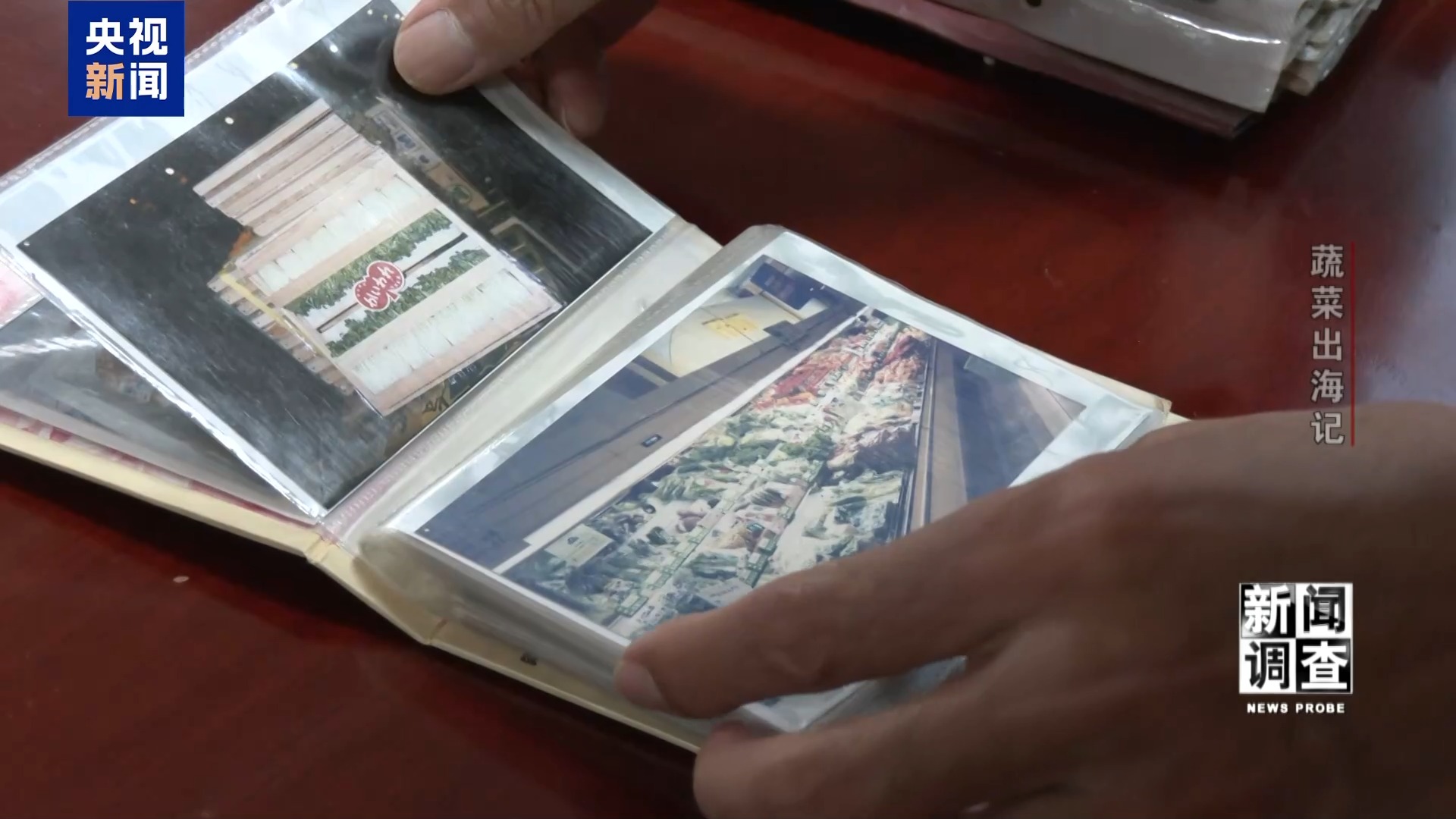 新闻调查丨从追标准到定标准 “中国蔬菜出口第一县”做对了什么? 新闻调查丨从追标准到定标准 “中国蔬菜出口第一县”做对了什么?