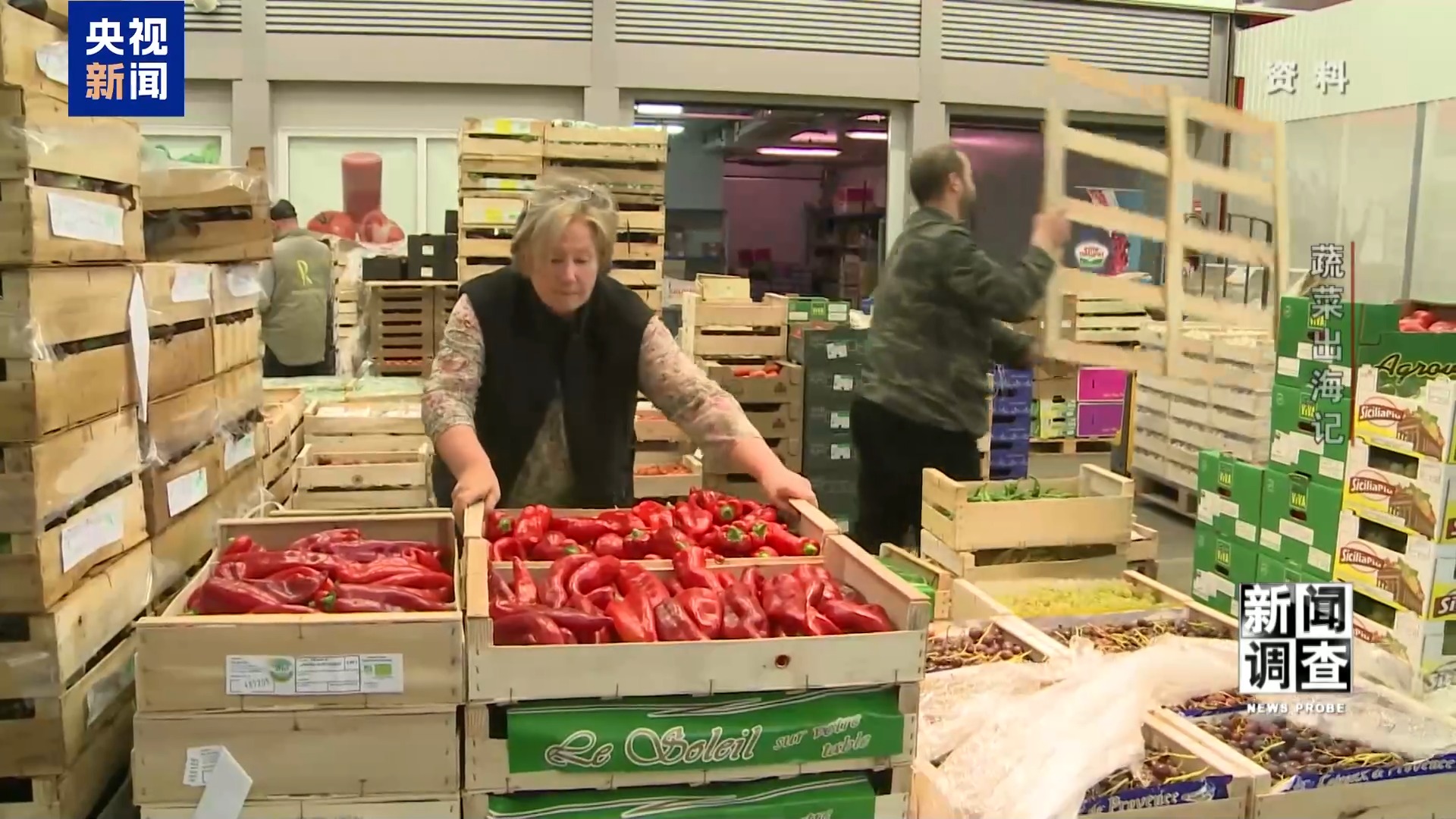 新闻调查丨从追标准到定标准 “中国蔬菜出口第一县”做对了什么? 新闻调查丨从追标准到定标准 “中国蔬菜出口第一县”做对了什么?