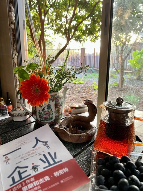 小城,何以生机勃勃丨“去小城安家”的风吹到了顺德