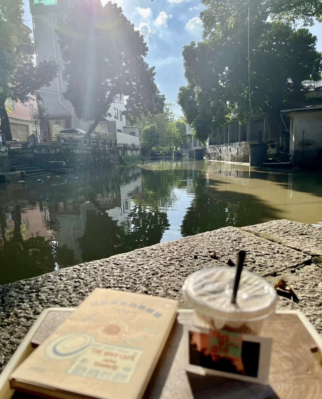 小城,何以生机勃勃丨“去小城安家”的风吹到了顺德