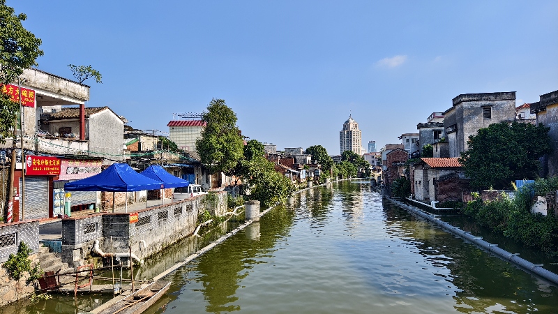 小城,何以生机勃勃丨“去小城安家”的风吹到了顺德