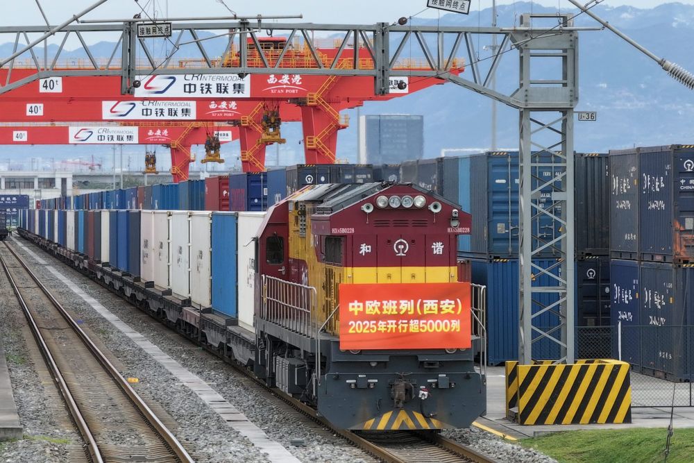 权威解读｜从11月份数据看中国经济增长点